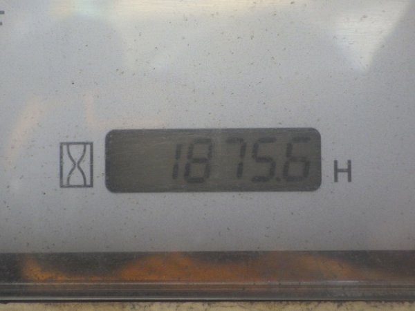 TCM 704 ★ Loader(Crawled/Wheeled) ★ WITHOUT BKT - Image 37