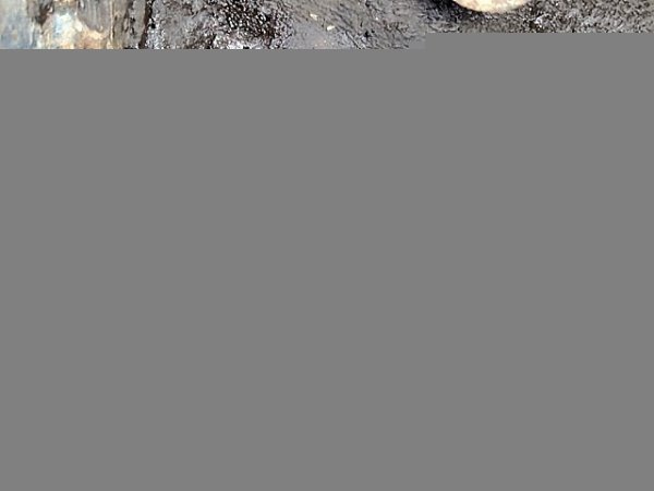 SUMITOMO SH200-3 ★ Excavator ★ 600G, FORK, A/C - Image 24